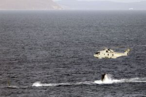 A Merlin Mk2 passes over HMS Agamemnon as the new Astute-class submarine conducts her maiden dive at sea.